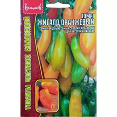 Томат Жигало оранжевый 10 шт РЕДКИЕ СЕМЕНЕ