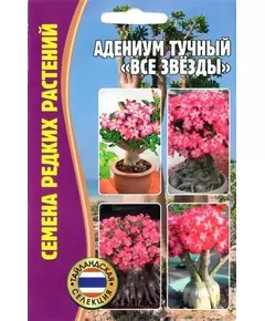 Адениум тучный Все звезды 3 шт РЕДКИЕ СЕМЕНА
