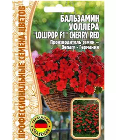 Бальзамин Уоллера LOLLIPOP CHERRY RED F1 5 шт РЕДКИЕ СЕМЕНА