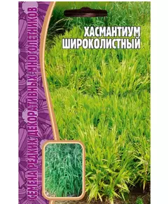 Хасмантиум Широколистный 25 шт РЕДКИЕ СЕМЕНА