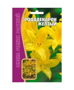 Рододендрон Желтый 25 шт РЕДКИЕ СЕМЕНА