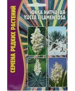 Юкка нитчатая YUCCA FILAMENTOSA 15 шт РЕДКИЕ СЕМЕНА