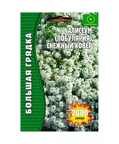 Алиссум Лобулярия Снежный Ковер 1000 шт РЕДКИЕ СЕМЕНА
