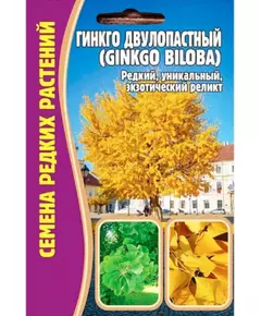 Гинкго двулопастный 3 шт РЕДКИЕ СЕМЕНА