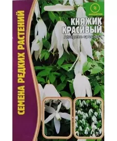 Клематис махровый Княжик PINK SWING 3 шт РЕДКИЕ СЕМЕНА