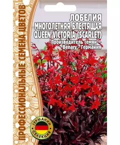 Лобелия многолетняя Квин Виктория 5 шт РЕДКИЕ СЕМЕНА