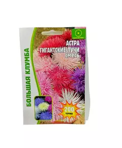 Астра Гигантские Лучи смесь 200 шт РЕДКИЕ СЕМЕНА