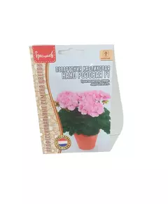 Пеларгония карликовая Нано Розовая F1 3 шт РЕДКИЕ СЕМЕНА