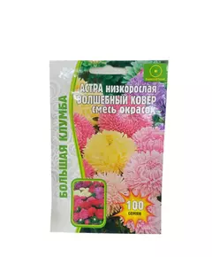 Астра низкорослая Волшебный ковер смесь окрасок  100 шт РЕДКИЕ СЕМЕНА