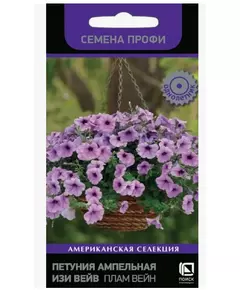 Петуния ампельная Изи Вейв F1 Плам Вейн F1 5 шт ПОИСК