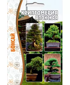 Криптомерия Японская 5 шт РЕДКИЕ СЕМЕНА