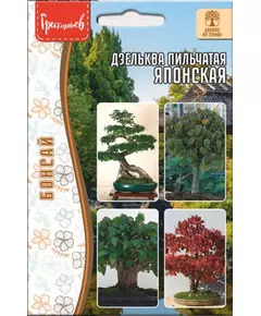 Дзельква японская Пильчатая 10 шт РЕДКИЕ СЕМЕНА