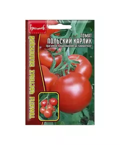 Томат Польский карлик 10 шт РЕДКИЕ СЕМЕНА