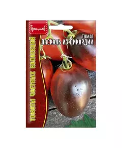 Томат Паскаль из Пикардии 10 шт РЕДКИЕ СЕМЕНА