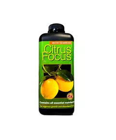 GT CITRUS FOCUS для цитрусовых