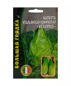 Капуста б/к Итальянская коническая VESUVIUS 0,2 г РЕДКИЕ СЕМЕНА