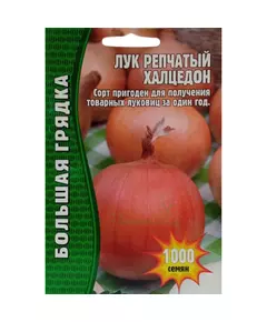 Лук репчатый Халцедон 1000 шт РЕДКИЕ СЕМЕНА