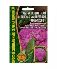 Капуста цветная Испанская фиолетовая CFGV-1200 10 шт РЕДКИЕ СЕМЕНА
