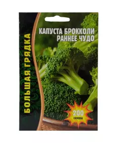 Капуста брокколи Раннее чудо 200 шт РЕДКИЕ СЕМЕНА
