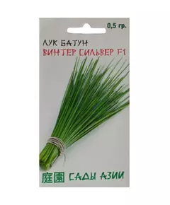 Лук батун Винтер Сильвер F1 0,5 г Сады Азии