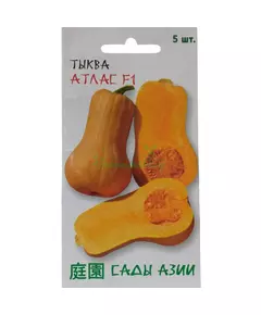 Тыква Атлас F1 5 шт Сады Азии