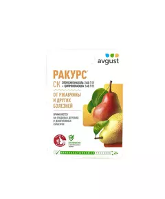 Ракурс, СК Август