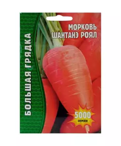 Морковь Шантане Роял 5000 шт РЕДКИЕ СЕМЕНА