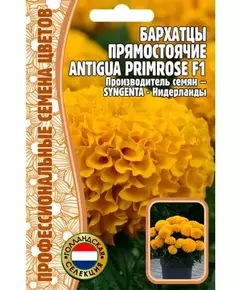 Бархатцы прямостоячие ANTIGUA PRIMROSE F1 5 шт РЕДКИЕ СЕМЕНА