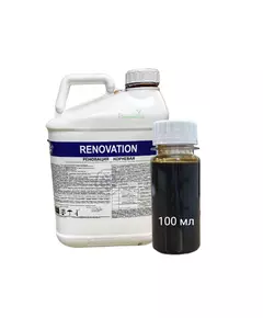 RENOVATION Реновация Корневая