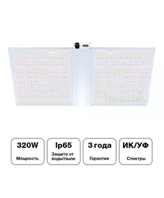 Лампа NANOLUX Нанолюкс LED RG300