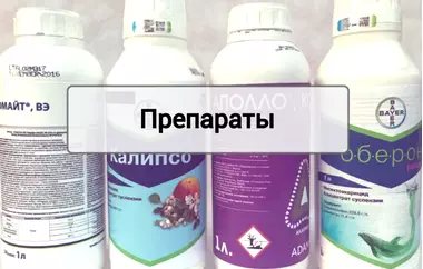 Препараты