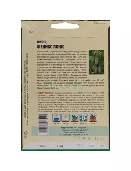 Огурец Феникс Плюс 50 шт РЕДКИЕ СЕМЕНА